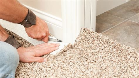 Some instances may. . How often do landlords have to replace carpet in michigan